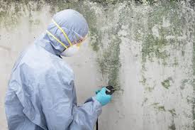 Best Industrial Mold Remediation in USA